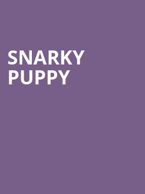 Snarky Puppy, State Theatre, Kalamazoo